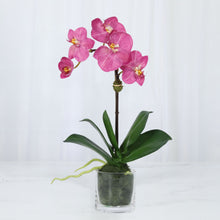 Load image into Gallery viewer, Faux Orchid Plant in Glass Vase Vivian Rose Shop
