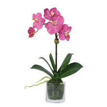 Load image into Gallery viewer, Faux Orchid Plant in Glass Vase Vivian Rose Shop
