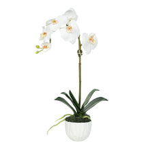 Load image into Gallery viewer, Faux phalaenopsis orchid arrangement in white decorative vase, side view
