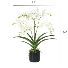 Load image into Gallery viewer, Faux Vanda Orchids in Modern Black Vase – Vivian Rose Shop
