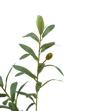 Load image into Gallery viewer, Artificial olive branch with green leaves and fruit on a white background
