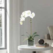 Load image into Gallery viewer, Faux Orchid Plant in Square Vase - 20" Vivian Rose Shop
