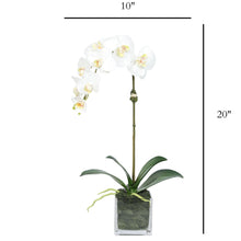 Load image into Gallery viewer, Faux Orchid Plant in Square Vase - 20" Vivian Rose Shop
