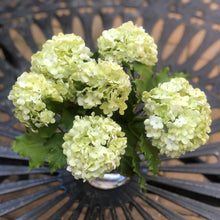 Load image into Gallery viewer, silk flower arrangement green hydrangea arrangement
