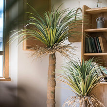 Load image into Gallery viewer, Moroccan Artificial Palm Tree In Pot RusticReach
