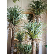 Load image into Gallery viewer, Moroccan Artificial Palm Tree In Pot RusticReach
