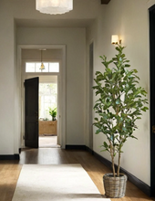 Load image into Gallery viewer, 7' Citrus Lemon Tree CG Hunter
