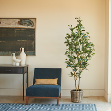 Load image into Gallery viewer, 7' Citrus Lemon Tree CG Hunter
