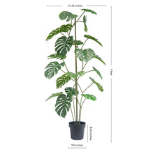 Load image into Gallery viewer, Large Monstera Tree
