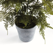 Load image into Gallery viewer, Artificial Fern Drop In 21" Napa Home &amp; Garden
