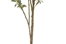 Load image into Gallery viewer, 7' Artificial Wispy Olive Tree CG Hunter
