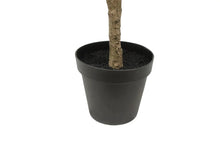 Load image into Gallery viewer, 7' Artificial Wispy Olive Tree CG Hunter
