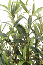 Load image into Gallery viewer, 30" Faux Olive Arrangement in Artisan Vase CG Hunter
