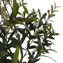 Load image into Gallery viewer, 6.5' Faux Potted Olive Tree CG Hunter
