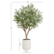 Load image into Gallery viewer, 8' Olive Tree Potted in White Stone Pot
