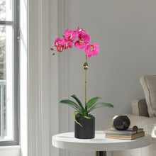Load image into Gallery viewer, Artificial Orchid Plant in Vase - 20" Vivian Rose Shop
