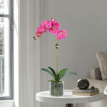 Load image into Gallery viewer, Artificial Orchid Plant in Vase - 20" Vivian Rose Shop
