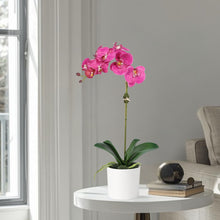 Load image into Gallery viewer, Artificial Orchid Plant in Vase - 20" Vivian Rose Shop
