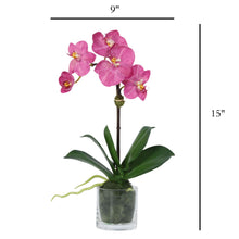 Load image into Gallery viewer, Faux Orchid Plant in Glass Vase Vivian Rose Shop
