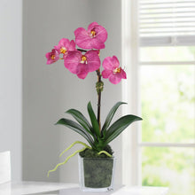 Load image into Gallery viewer, Mini Orchid Arrangement in Square Glass Vase Vivian Rose Shop
