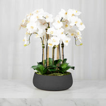 Load image into Gallery viewer, Large faux white orchid arrangement in matte black ceramic planter, 28 inch-Vivian Rose Shop
