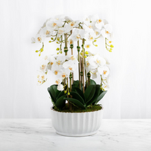 Load image into Gallery viewer, orchid centerpiece arrangement white faux orchids in white vase dining room table centerpiece arrangement for luxury home decor
