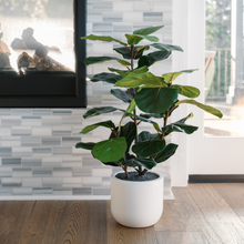Load image into Gallery viewer, 3' Faux Potted Fiddle Leaf Fig Tree CG Hunter
