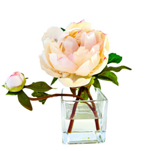 Load image into Gallery viewer, Peony Flower Arrangement in Glass Vase - 10&quot;
