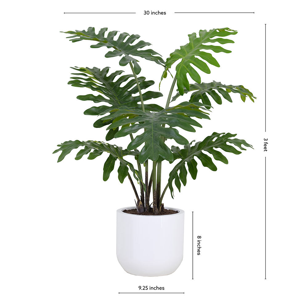 faux philodendron plant Faux Potted Philodendron Plant, 3 ft