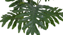 Load image into Gallery viewer, 3' Faux Potted Philodendron
