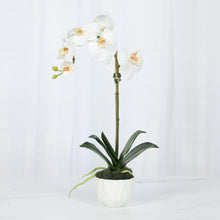 Load image into Gallery viewer, Faux phalaenopsis orchid plant in white vase, 18 inch – Vivian Rose Shop
