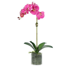 Load image into Gallery viewer, Pink Artificial Orchid Plant in Vase - 20" Vivian Rose Shop
