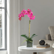Load image into Gallery viewer, Faux Orchid Plant in Square Vase - 20" Vivian Rose Shop
