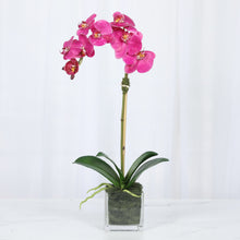 Load image into Gallery viewer, Faux Orchid Plant in Square Vase - 20" Vivian Rose Shop
