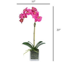 Load image into Gallery viewer, Faux Orchid Plant in Square Vase - 20" Vivian Rose Shop
