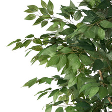Load image into Gallery viewer, Realistic Artificial Ficus Tree

