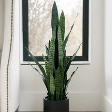 Load image into Gallery viewer, 40" Artificial Snake Plant in Black Pot
