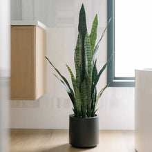 Load image into Gallery viewer, 40" Artificial Snake Plant in Black Pot
