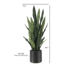 Load image into Gallery viewer, 40" Artificial Snake Plant in Black Pot
