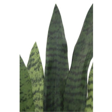 Load image into Gallery viewer, 40" Artificial Snake Plant in Black Pot
