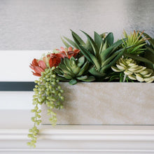 Load image into Gallery viewer, Rectangular Artificial Succulent Arrangement, Natural Planter CG Hunter
