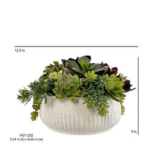 Load image into Gallery viewer, 12" Succulent Arrangement
