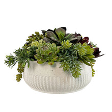 Load image into Gallery viewer, 12" Succulent Arrangement
