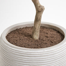 Load image into Gallery viewer, Artificial Olive Topiary Tree with Mediterranean Pot CG Hunter
