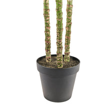 Load image into Gallery viewer, 7' Artificial Palm Tree CG Hunter
