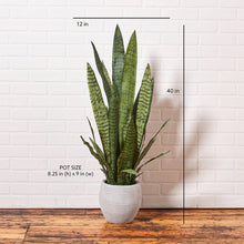 Load image into Gallery viewer, Artificial Snake Plant with Artisan Planter CG Hunter

