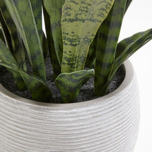 Load image into Gallery viewer, Artificial Snake Plant with Artisan Planter CG Hunter
