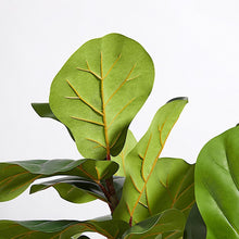 Load image into Gallery viewer, Artificial Fiddle Leaf Fig Tree with Artisan Planter CG Hunter
