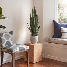 Load image into Gallery viewer, Artificial Snake Plant with Artisan Planter CG Hunter
