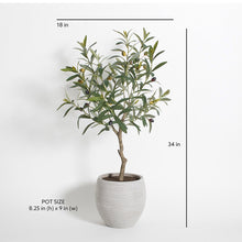 Load image into Gallery viewer, Artificial Olive Topiary Tree with Mediterranean Pot CG Hunter
